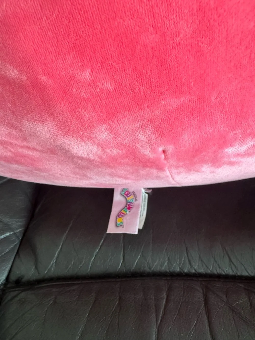 Squishmellow 24 inch Emory‎ the Latte